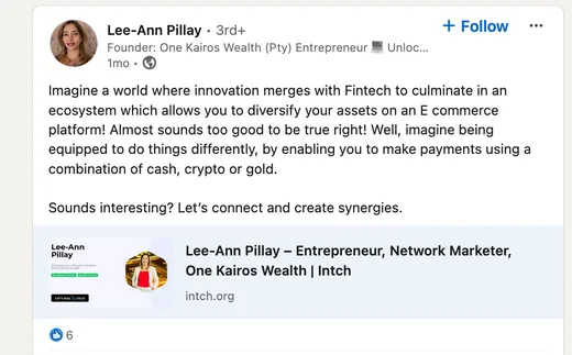 LinkedIn post by Lee-Ann Pillay pitching a fintech e-commerce ecosystem and inviting people to connect, sharing a link to her Intch profile.